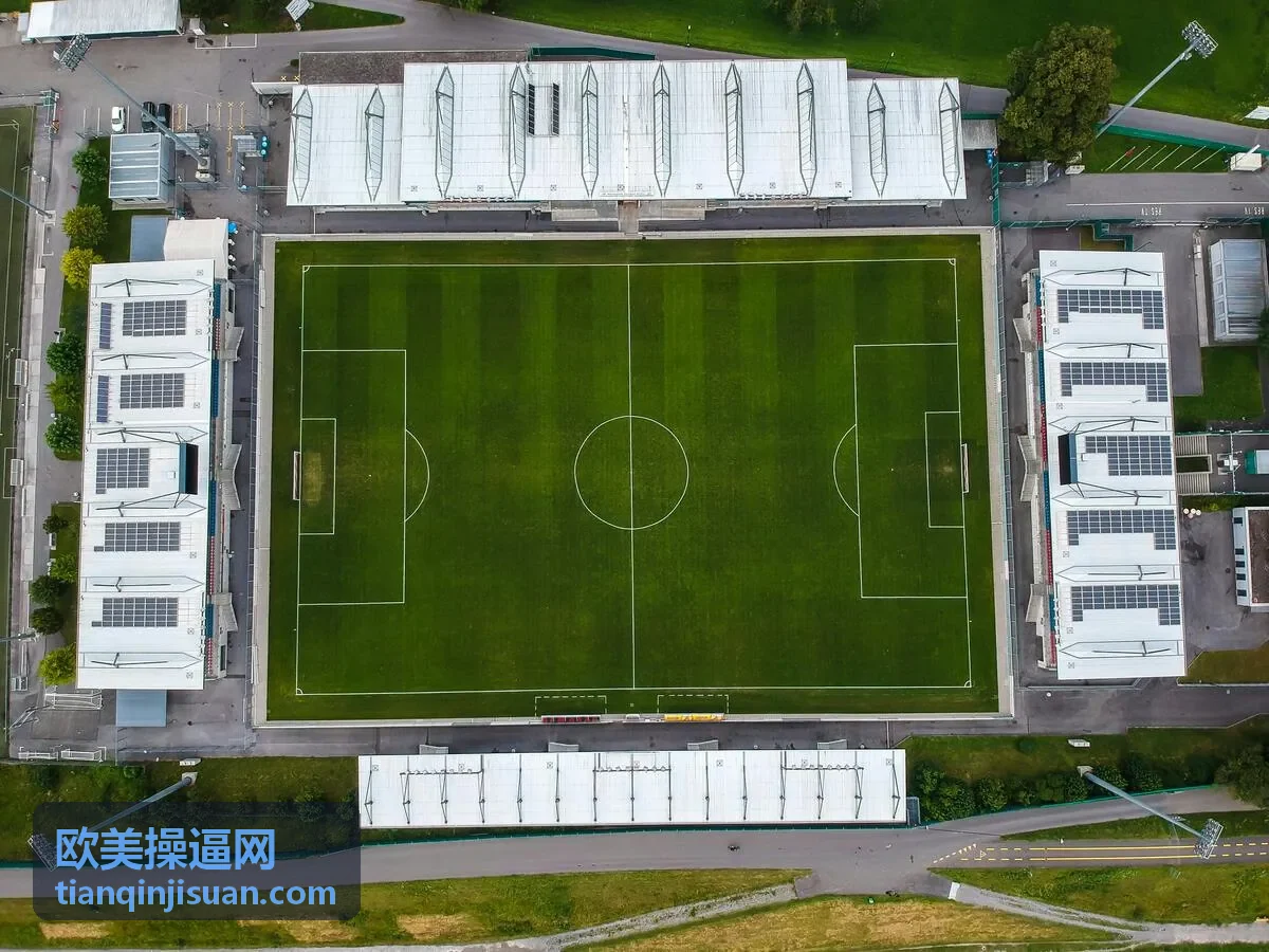 欧美操逼网欧美激情精选封面图